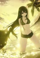 一枕星河梦故人