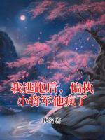 我逃跑后，偏执小将军他疯了