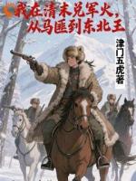 我在清末兑军火，从马匪到东北王