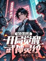 氪命高武，开局觉醒武神灵纹