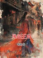 风起王府