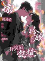 惊，提离婚，冷脸老公开窍后狂撩