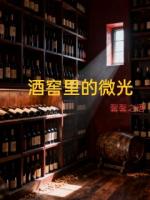 酒窖里的微光