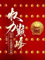 问鼎：从选调警员到权力巅峰