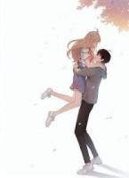 木槿花落，难再开