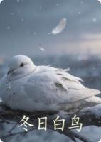冬日白鸟