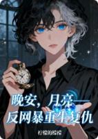 晚安，月亮——反网暴重生复仇