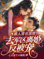 被人冒名顶替？去军区离婚反被宠