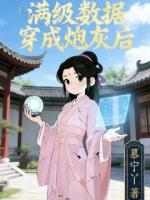 满级数据穿成炮灰后