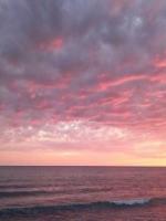 夫君的宠妾纵马踩死我娘亲，重生后，我送他俩上西天