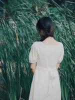 公主不圆房，我转身去做皇后面首