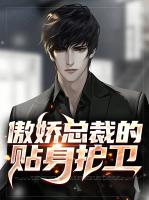 傲娇总裁的贴身护卫