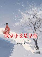 我家小妾是皇帝