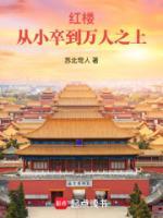红楼：从小卒到万人之上