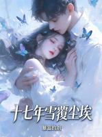 十七年雪覆尘埃