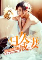 独宠成瘾之日久成妻