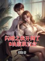 闪婚之我开到了8块腹肌盲盒