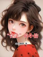 “合法”的小偷