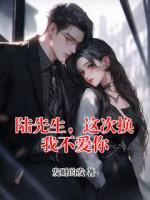 陆先生，这次换我不爱你