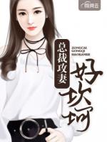 总裁攻妻好坎坷
