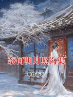 奈何明月照沟渠